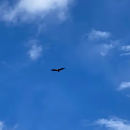 Zlatar Hill Nova Varoš