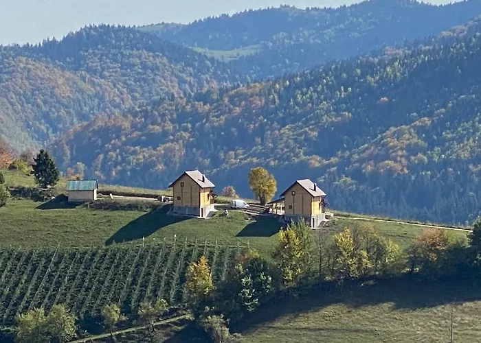 Apartman Zlatar Hill *