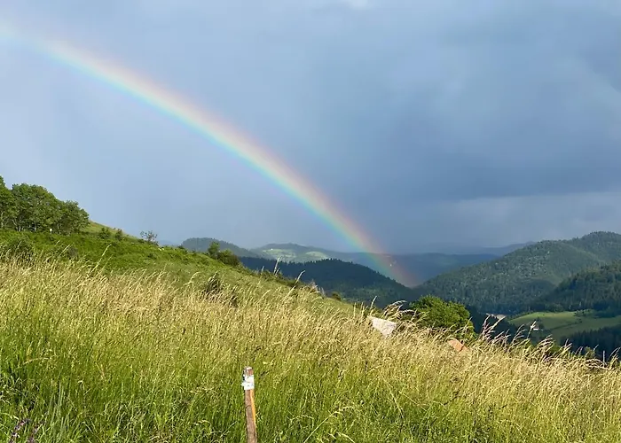 Zlatar Hill Apartman *
